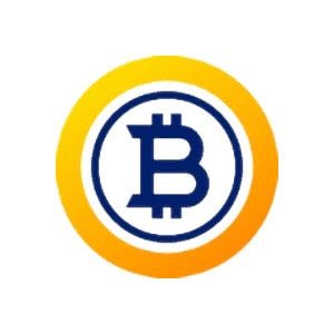 Bitcoin Gold Erfahrungen 2020 Logo.